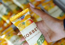 Ledo Sorbet