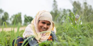 Shubh Mint