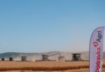 Podravka Agri uspješno završila žetvu ječma i pšenice