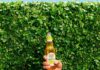 Stigao je novi Somersby Marakuja Naranča