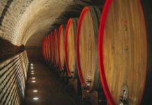 Trijumf vina Goldberg