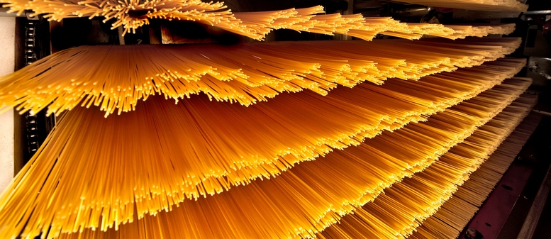 spaghetti