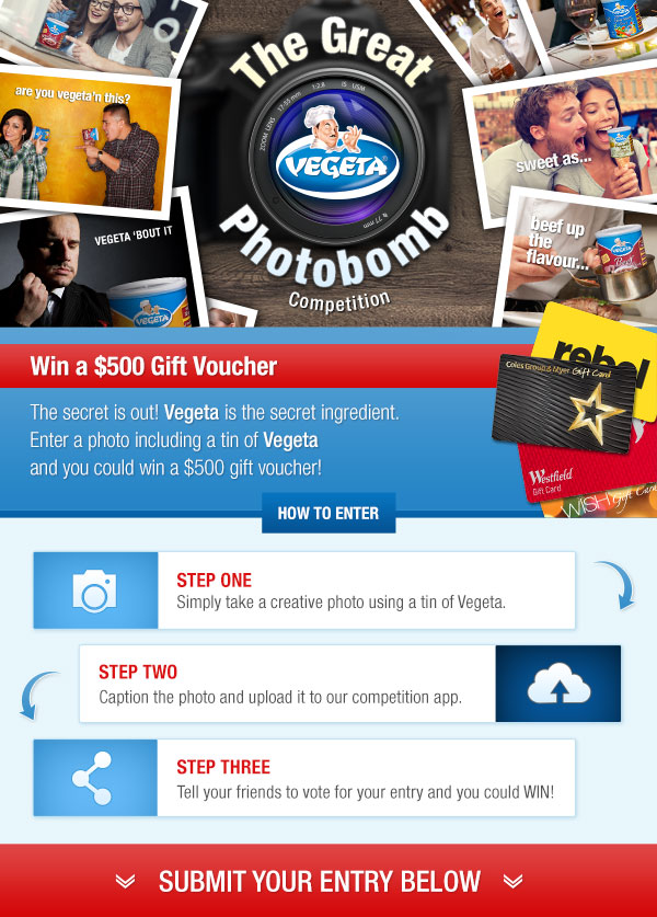 Vegeta-SocialComp