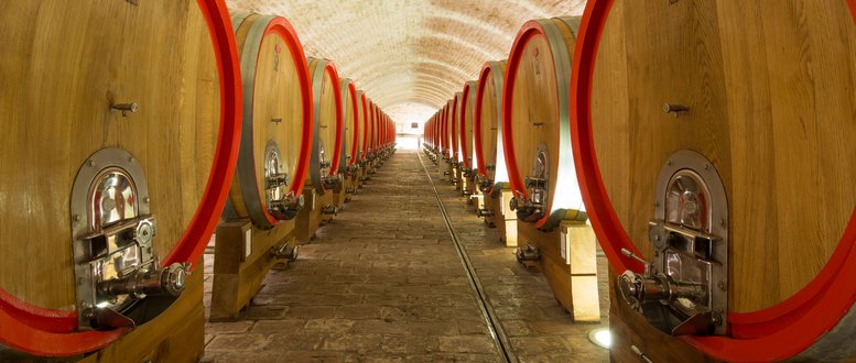 Vina Belje stari podrum