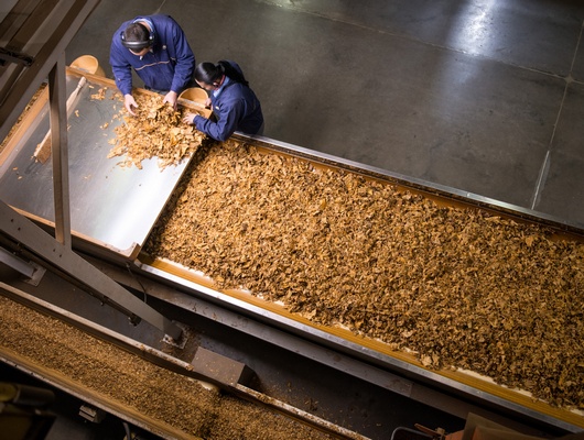 bat-proizvodnja cigareta-midi