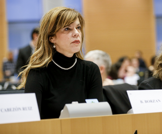 borzan-europarlament-midi