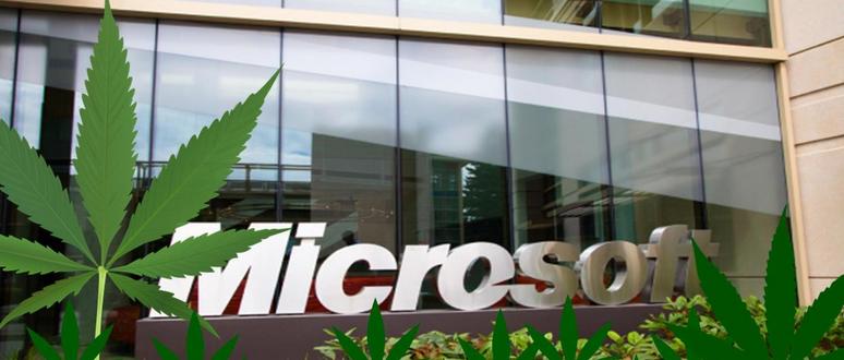 microsoft-konoplja-Kind Financial