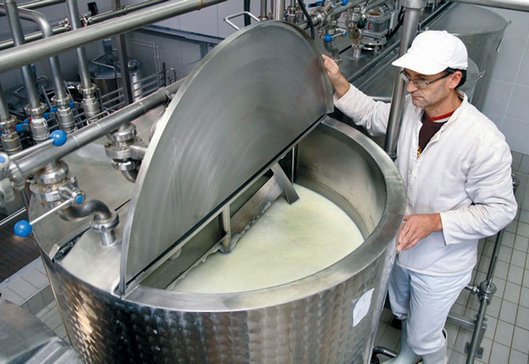 mljekarska industrija