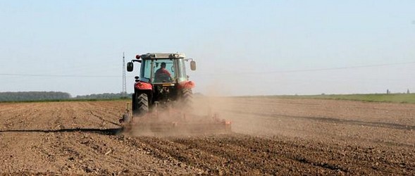 poljoprivreda-polje-ftd