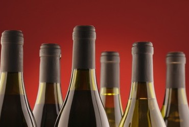 teran-vino-midi