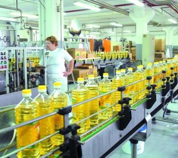 uljara-cepin-proizvodnja-midi