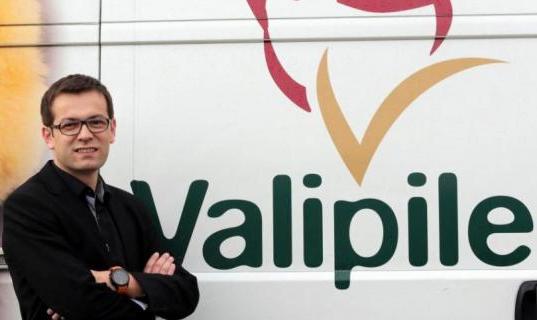 valipile andrej alilovic