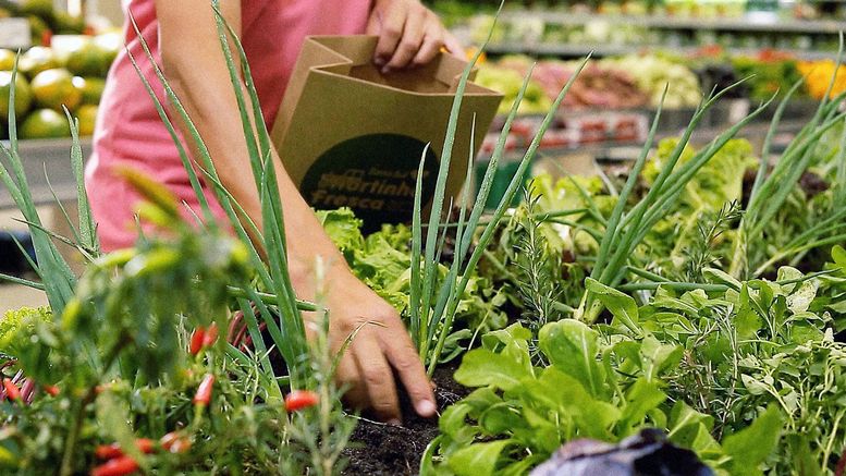 zona sul - fresh garden